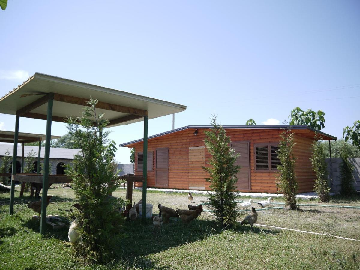 Windmill Shkodra Gesthouse Camping & Grill ภายนอก รูปภาพ